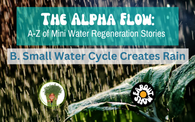 The Alpha Flow: B. Small Water Cycle Creates Rain